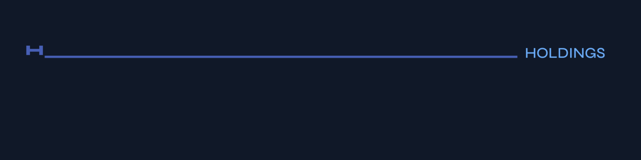 Substack banner for @holdings