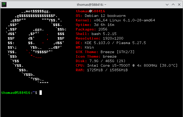 Screenfetch running in terminal