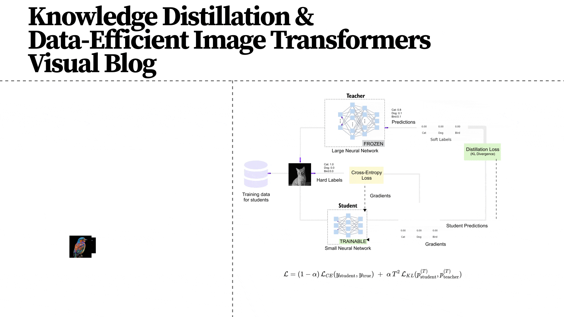 Knowledge Distillation & Data-Efficient Image Transformers