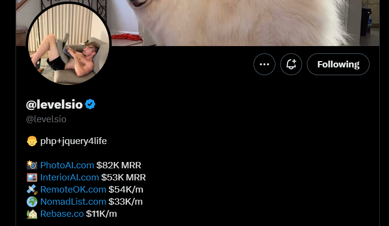 Pieter Levels X 프로필