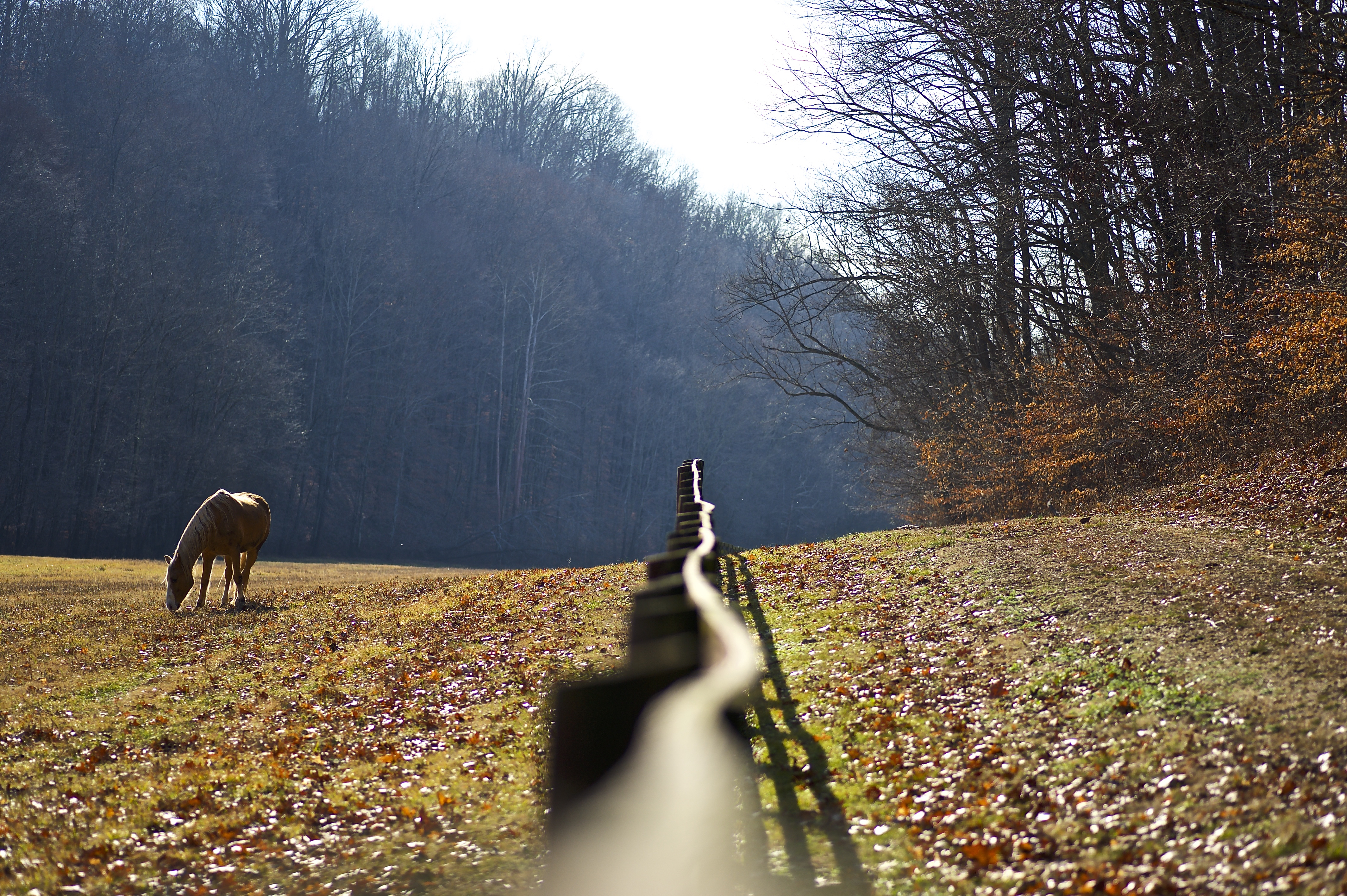 “Threshold” Canon EOS 5D, 2020