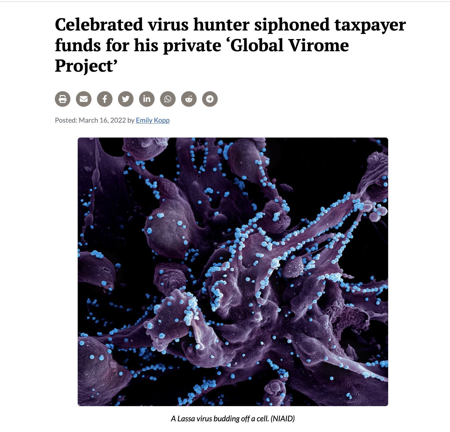 USAID PREDICT – Part Six – CNN Ignored Wuhan Lab Smoking Gun In 2020, Tens Of Thousands Died In Lockdowns As A Result