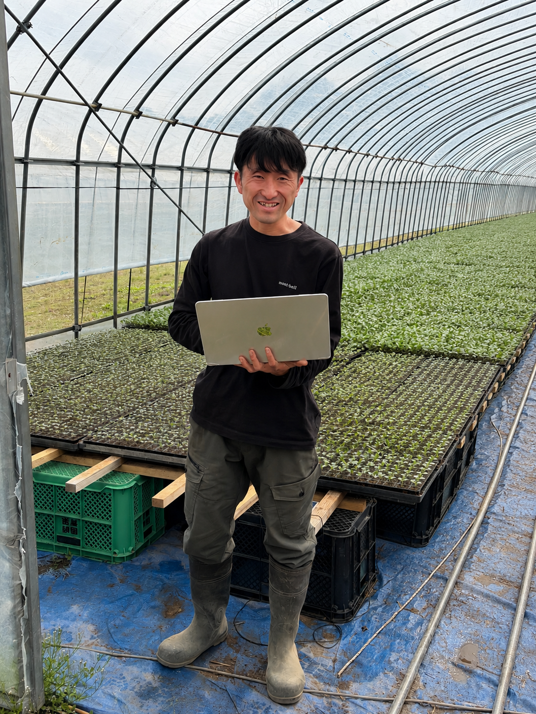 O Hiroki na estufa, com as mudas e o notebook (foto: OpenAI / ChatGPT for Pros)