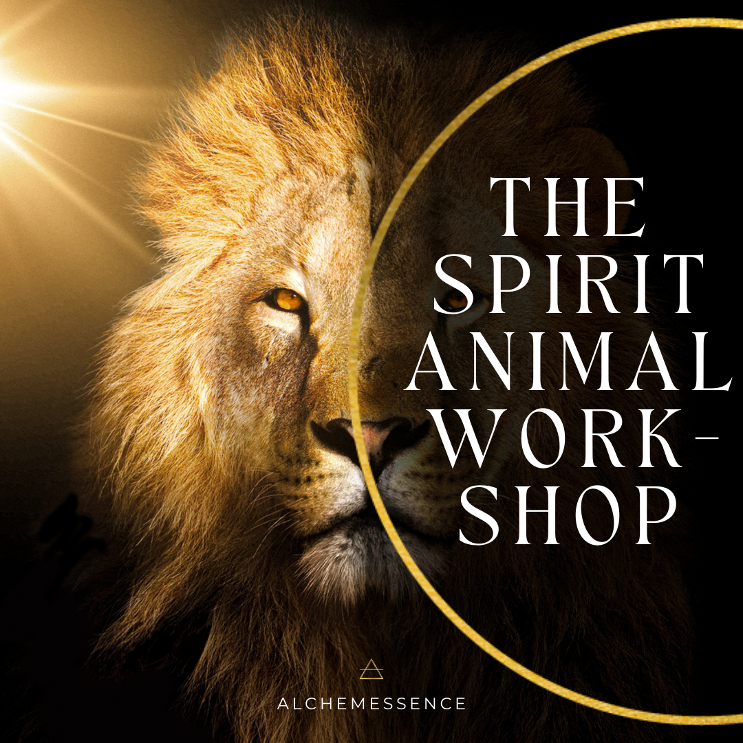 "But what does it mean?" How to Interpret Spirit Messages from Animals
