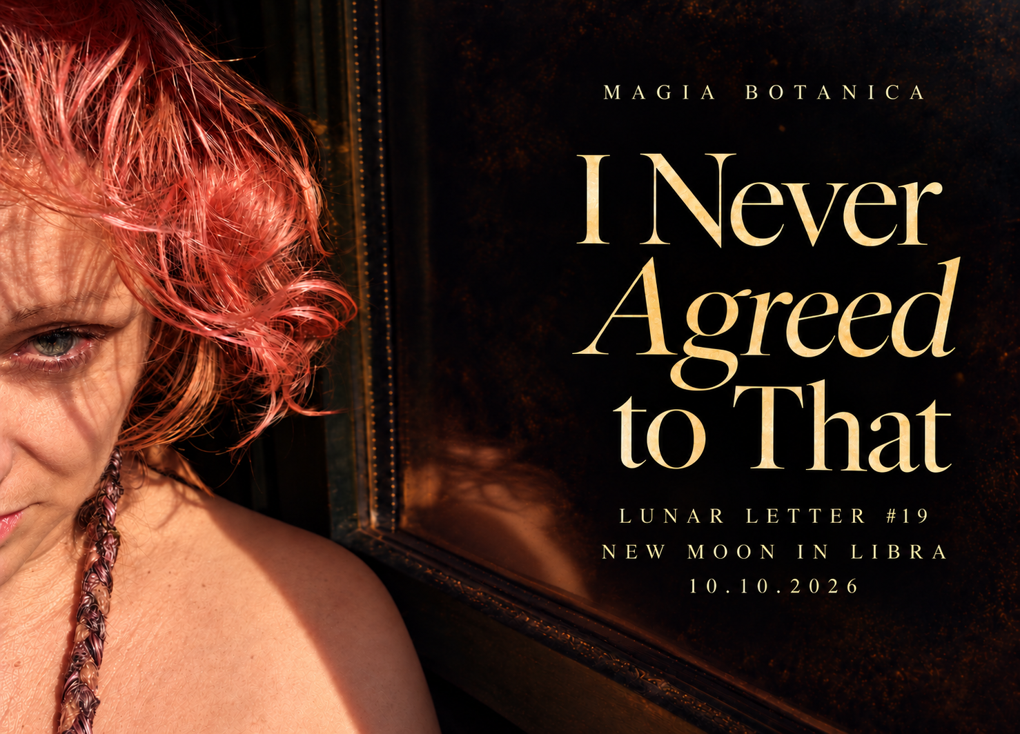 Cover image for Lunar Letter #19: I NEVER AGREED TO THAT