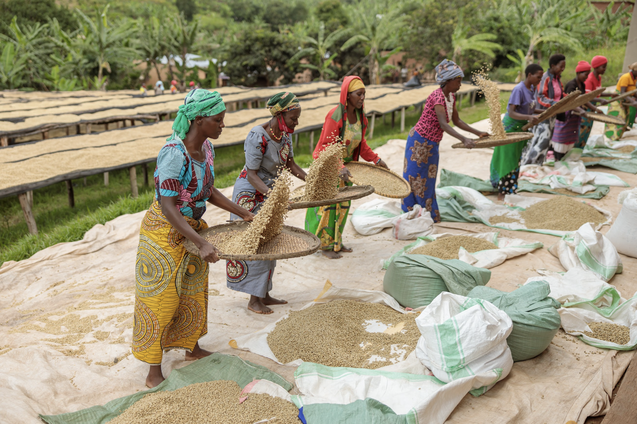 Processing at Humure Abishyizehamwe