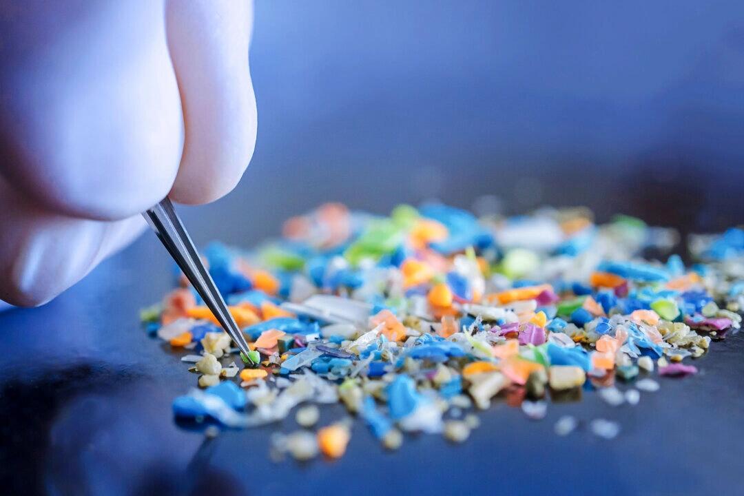 Microplastics Found In Brain Weighs As Much As A Plastic Spoon: Study