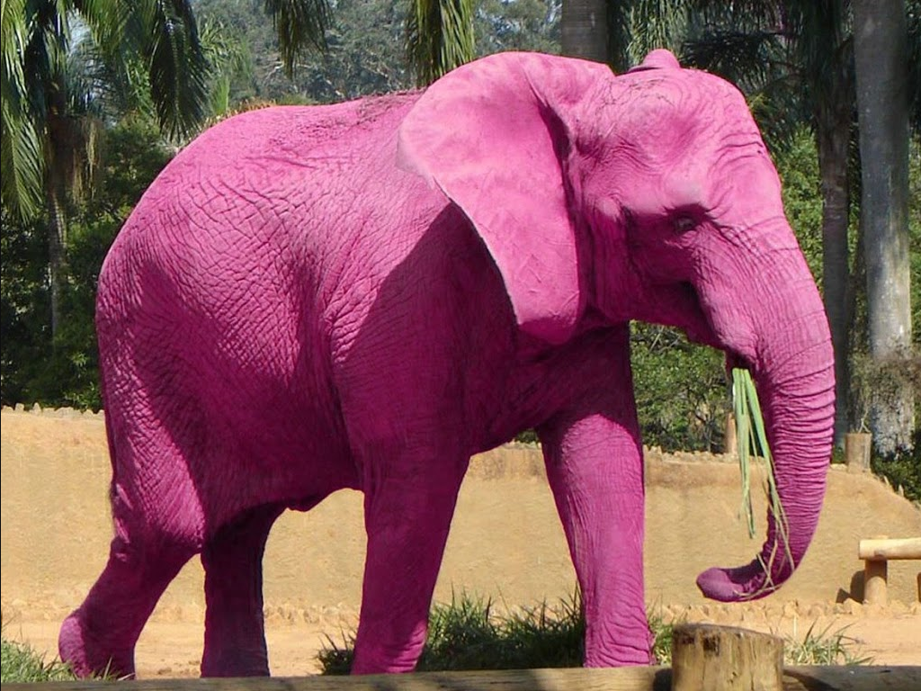 görsel