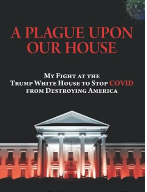 MOJO Academy Book Brief--Day 18 -- A Plague Upon Our House