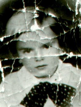 The Auschwitz Memorial Museum’s Odd Claims about Sandor Braun