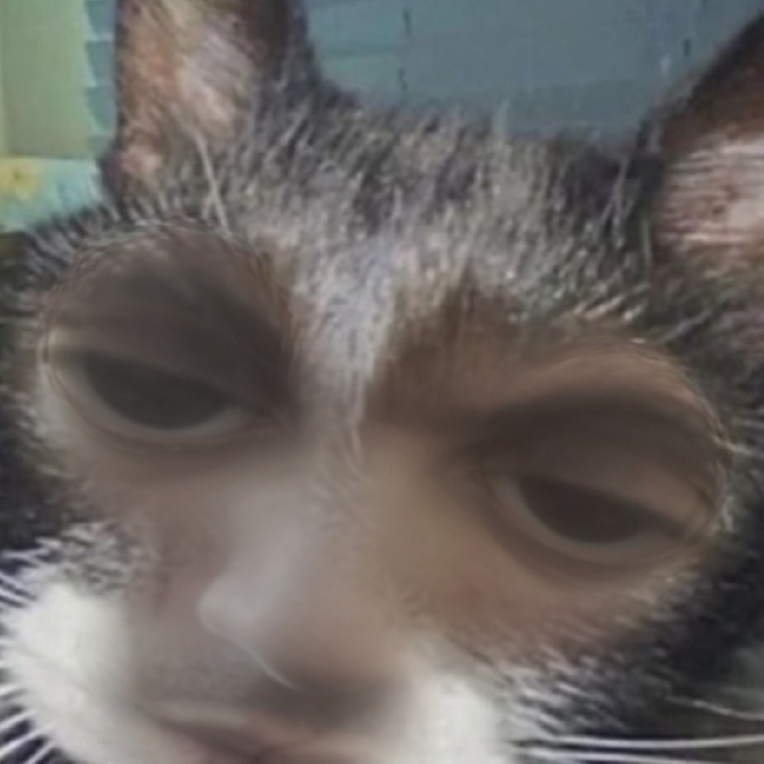 Substack profile picture for @catheter