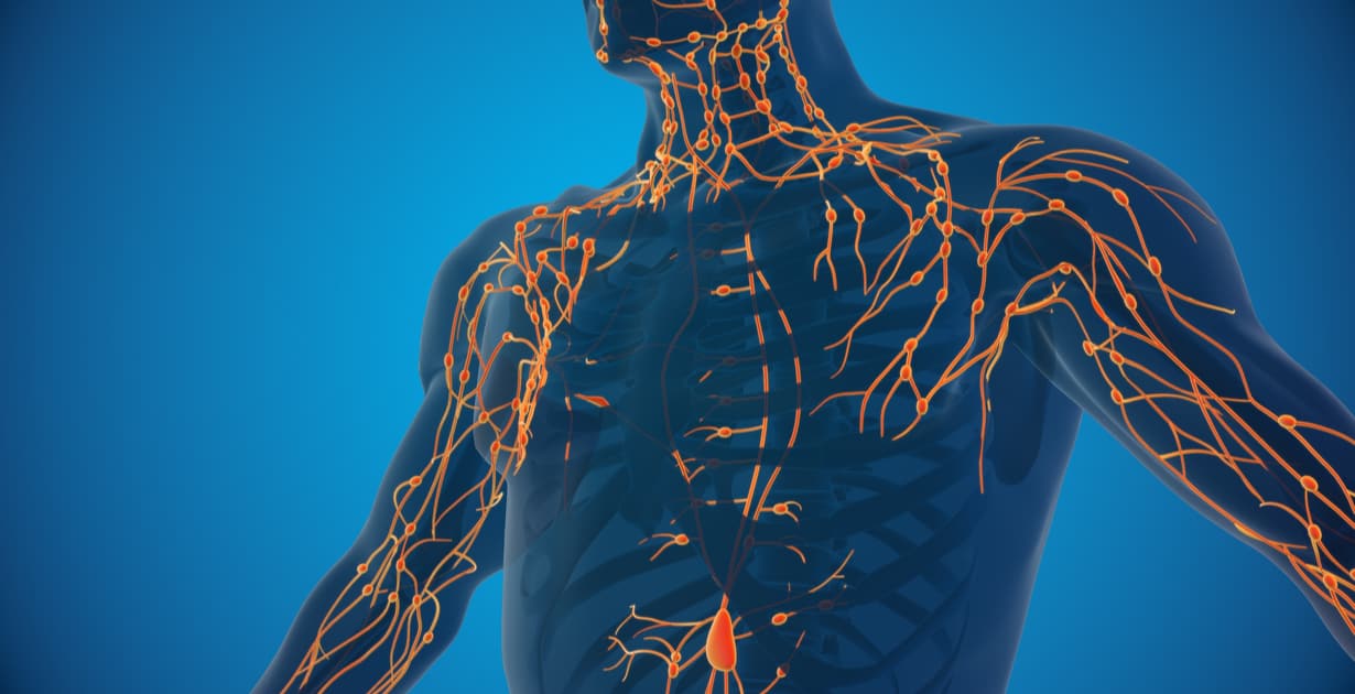 The Impact of Lymphatic Dysfunction - by Kenneth Hemmler