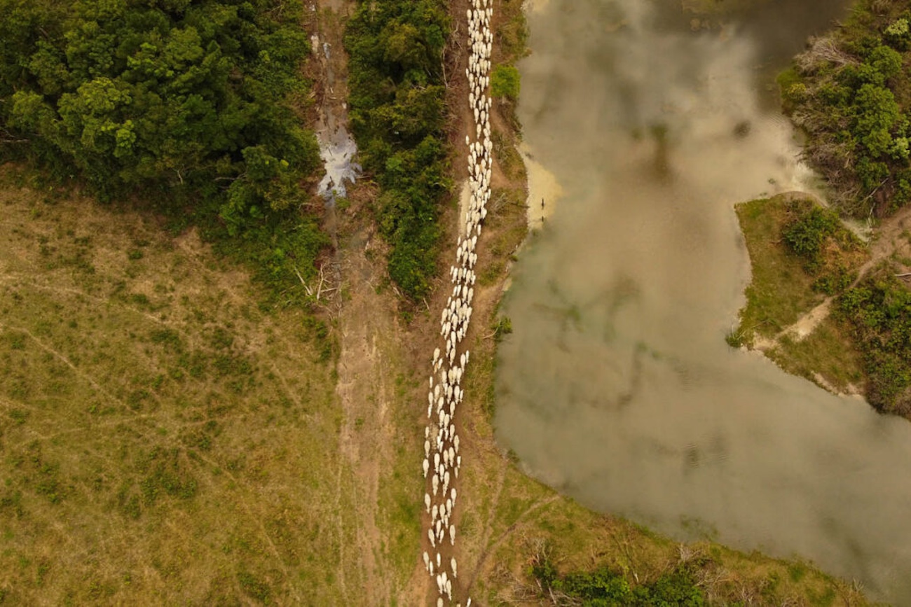 Assembleia cria programa PERAD-RO que promete regularizar RESEX Jaci-Paraná