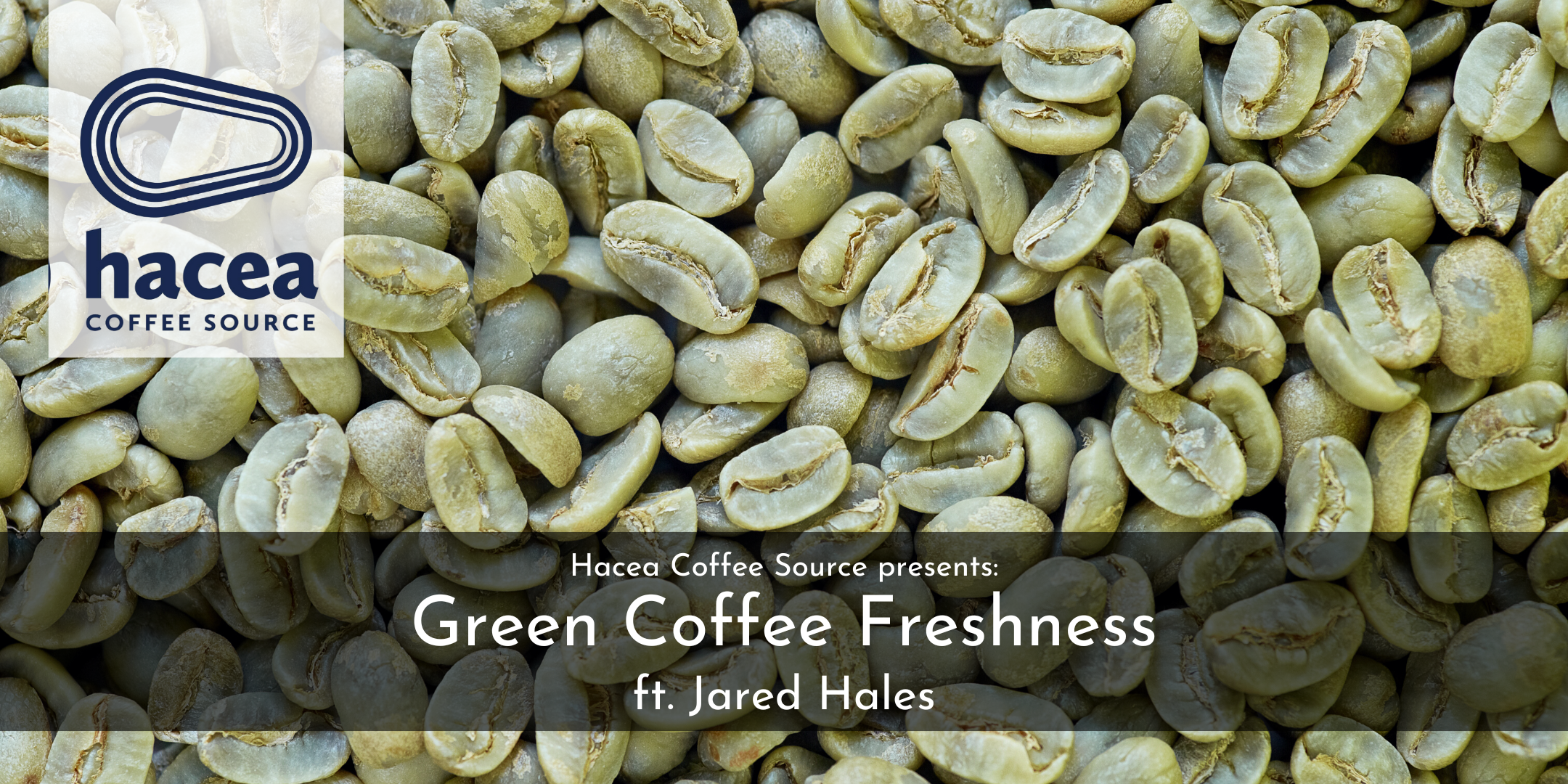 Hacea's Green Coffee Column: July