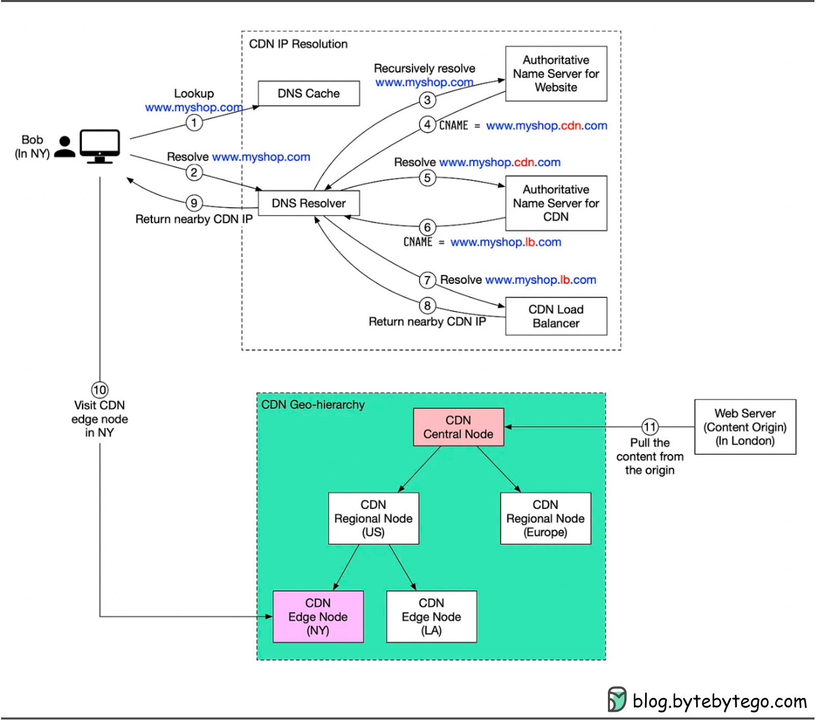 Network Protocols Run the Internet - by Alex Xu