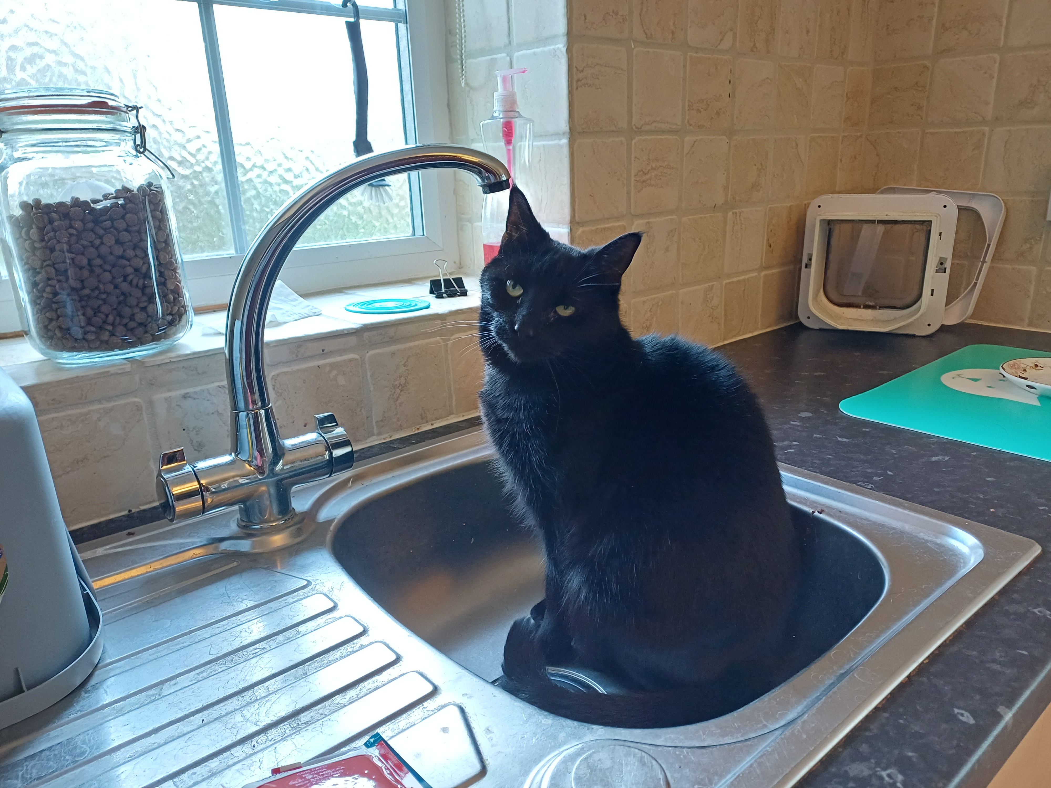 Substack profile picture for @jumble