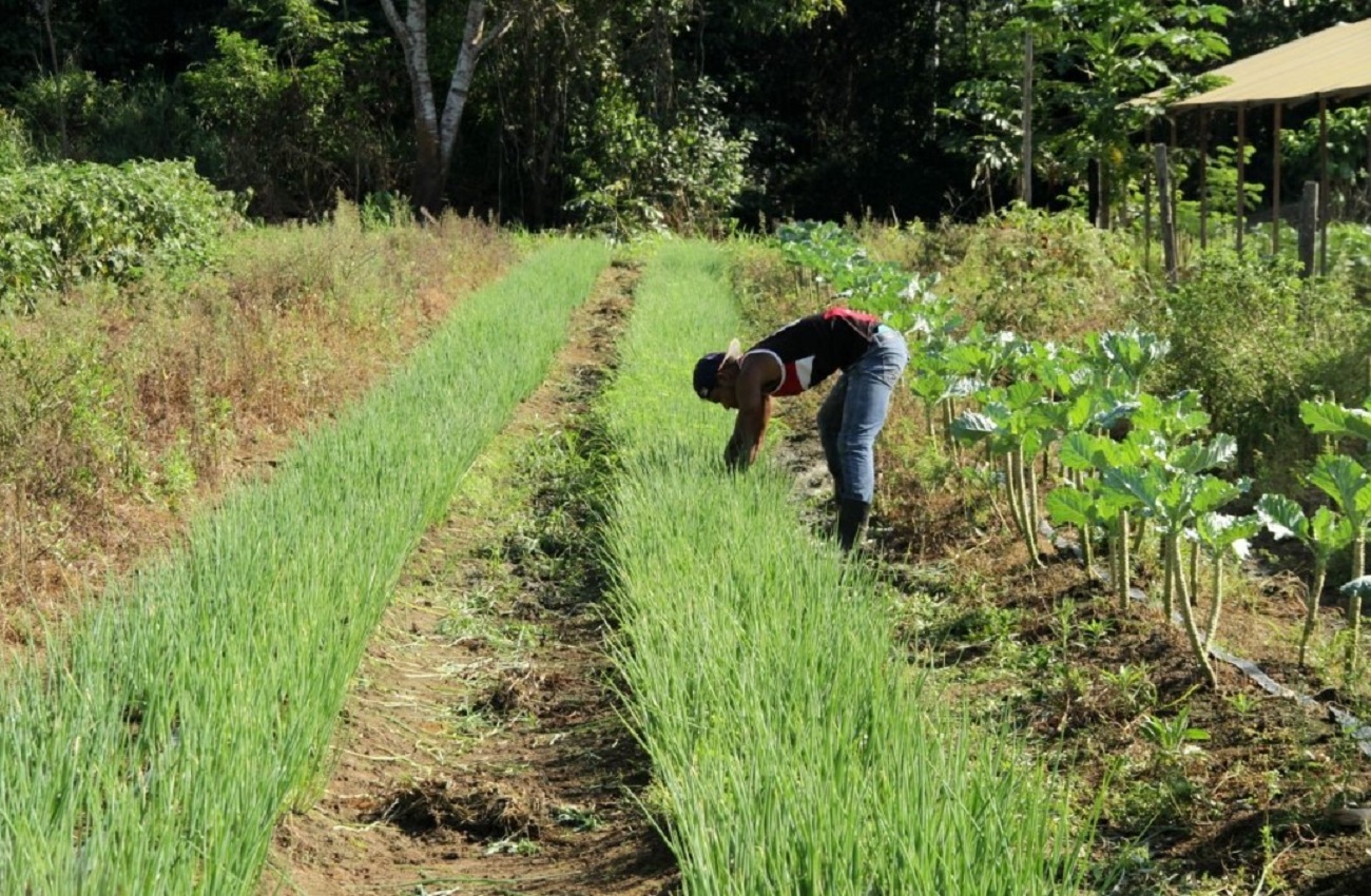 Deputado Alan Queiroz destina R$ 70 mil para aquisição de Implementos Agrícolas em Alvorada do Oeste