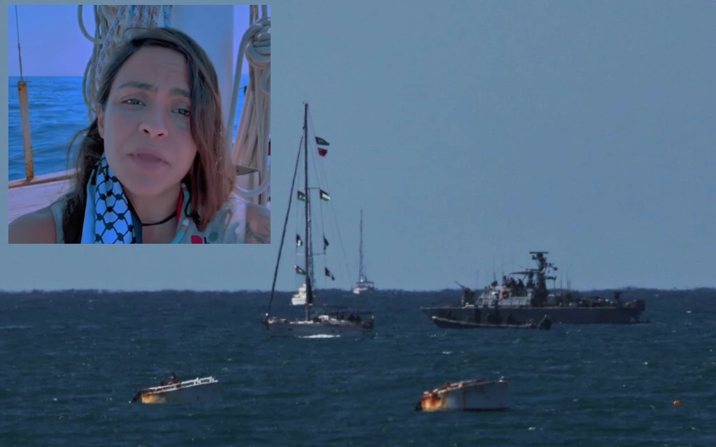 Israel intercepta flotilha humanitária para Gaza: Greta Thunberg, advogada de Rondônia e outros ativistas brasileiros entre os detidos