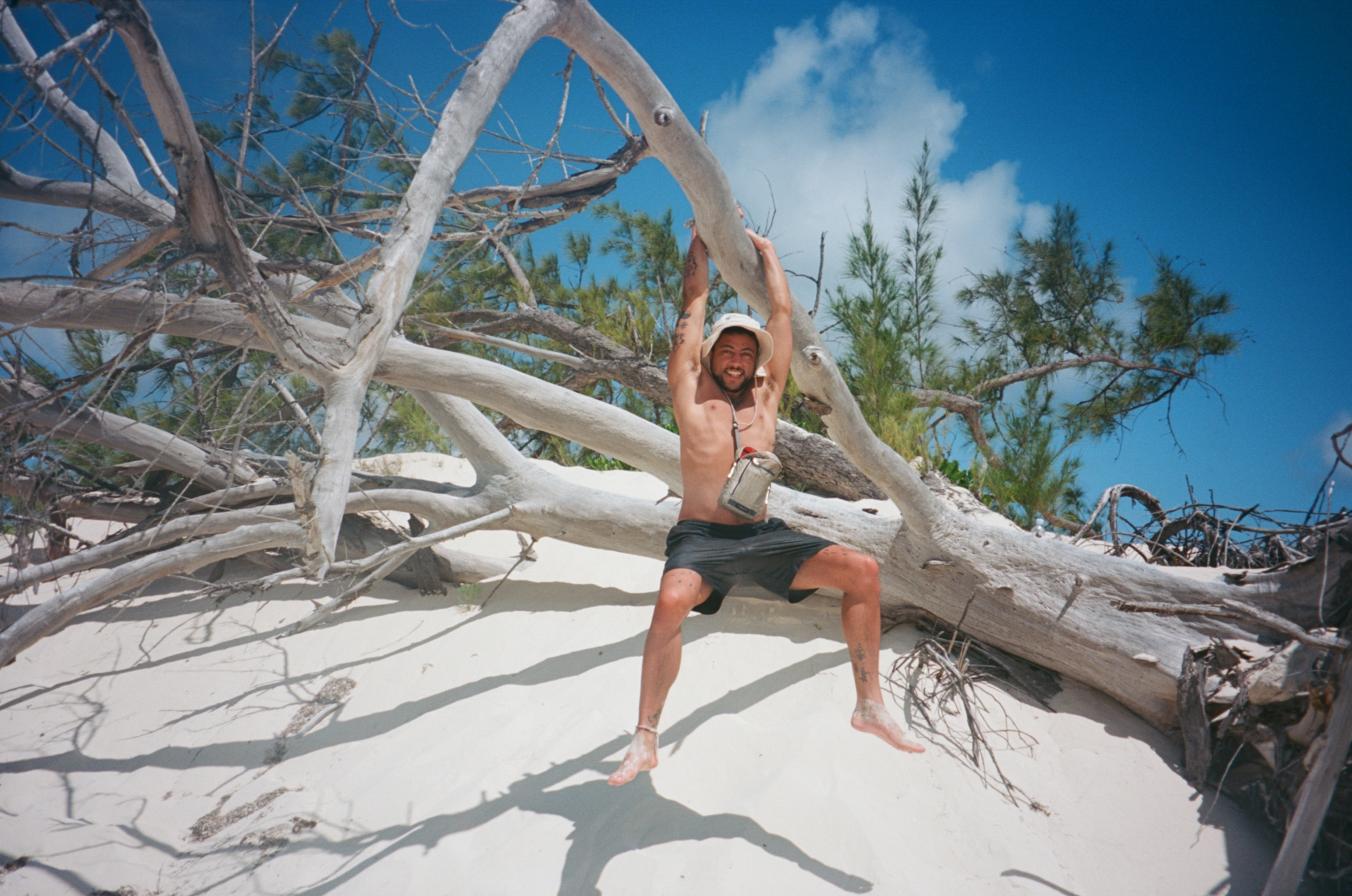 013 ☼ Purienne's Tropical Ambience - by Palm Report