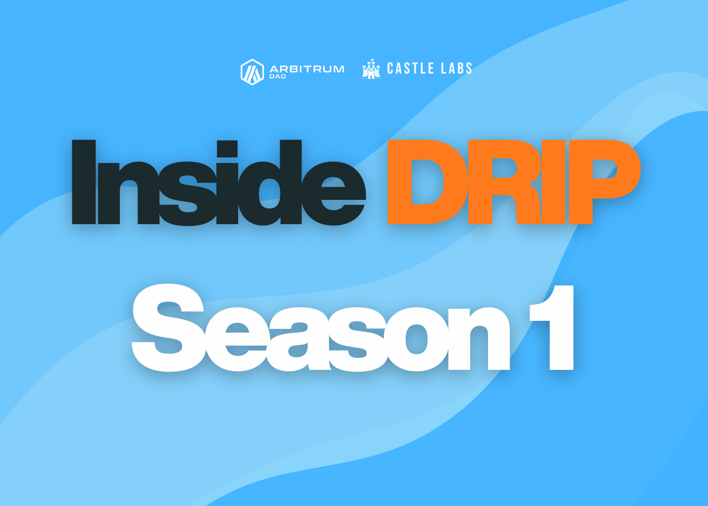 Inside Arbitrum DRIP Season 1