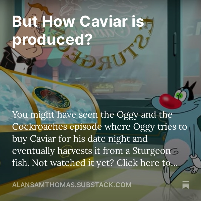 But Why Books Discolour By Alan Sam Thomas but-why-books-discolour-by-alan-sam-thomas