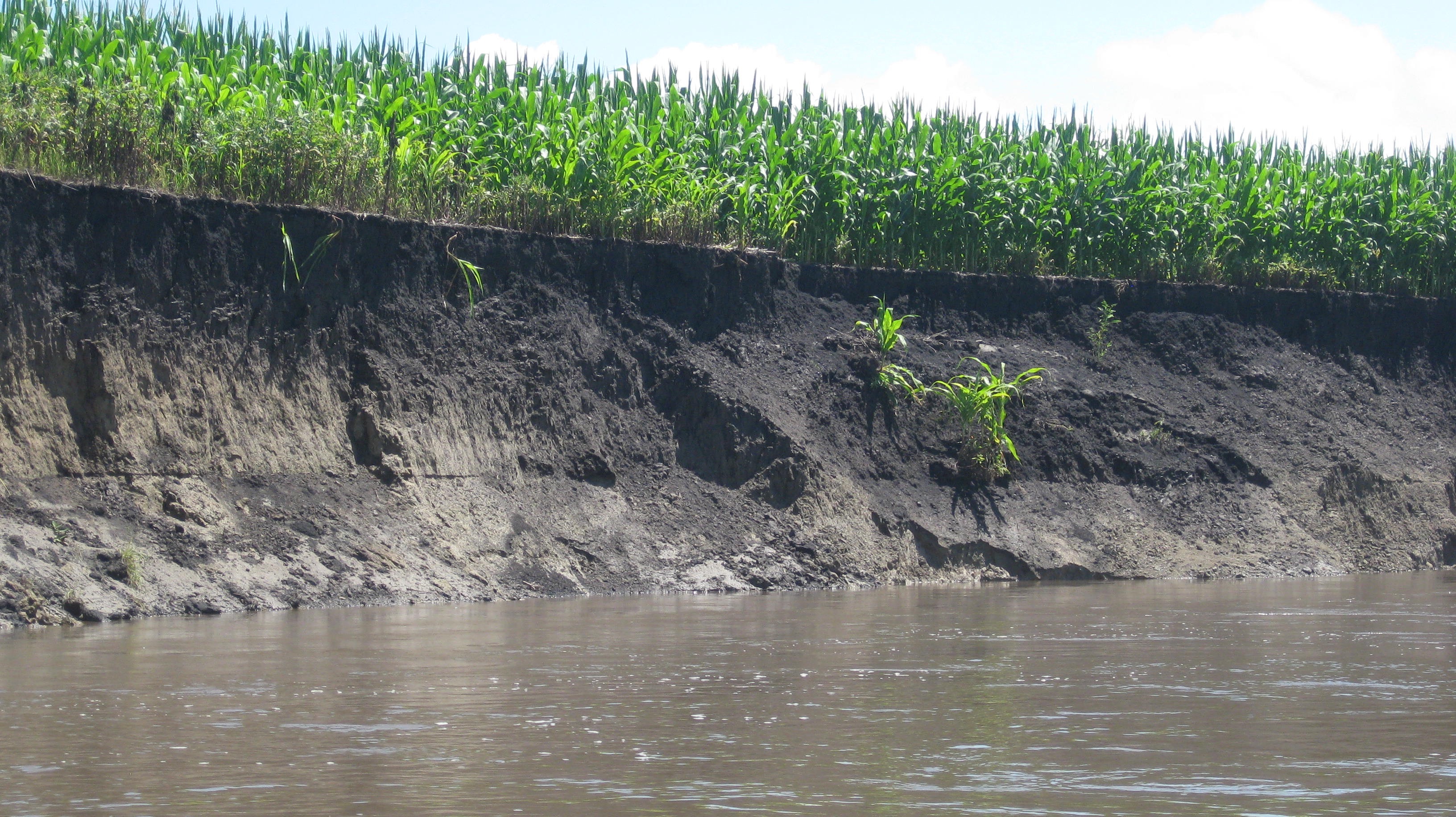 Guest Post: River Restoration – Iowa Learning Farms