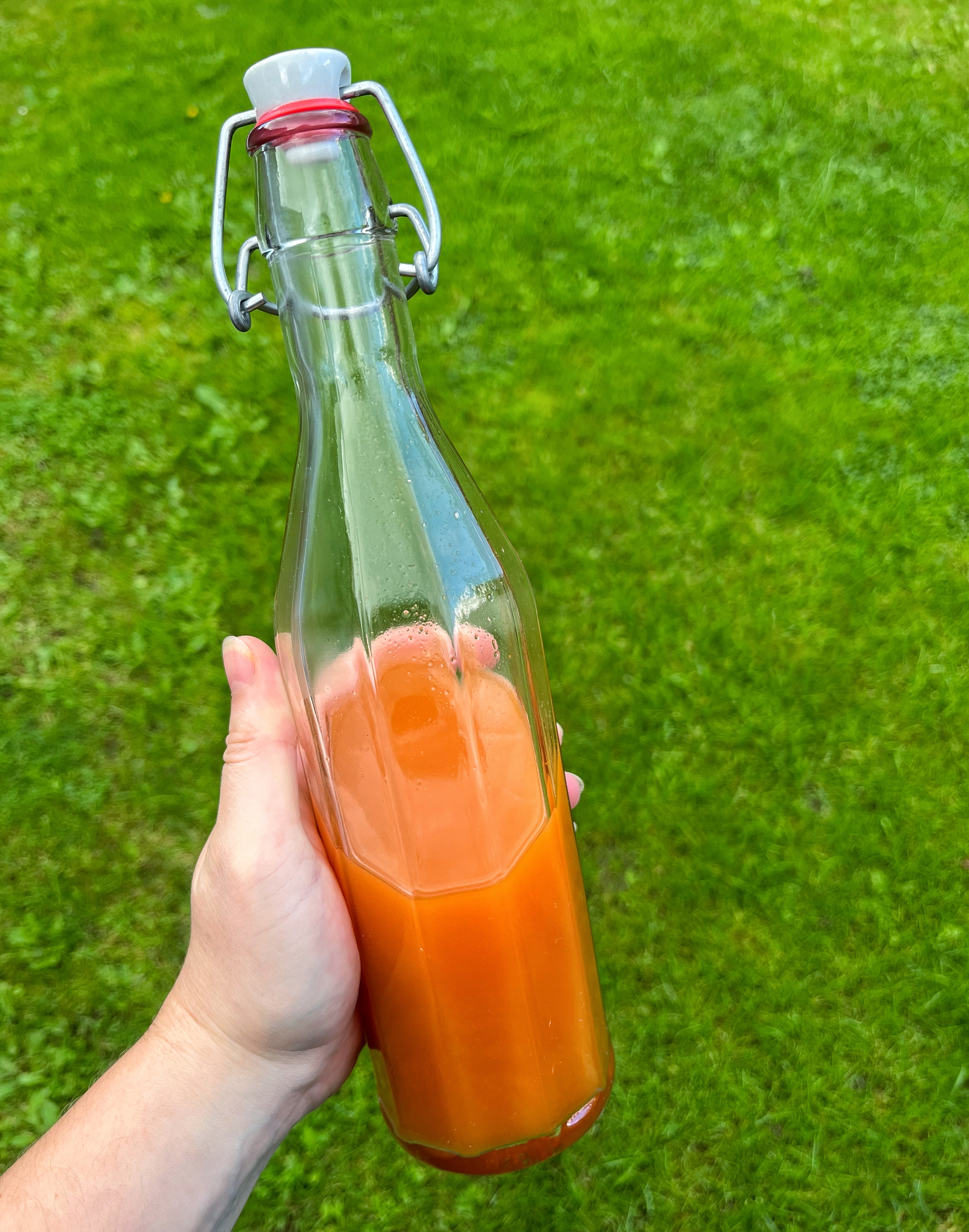 Shrub Make Shrub Making 101: Or, How To Make Any Shrub