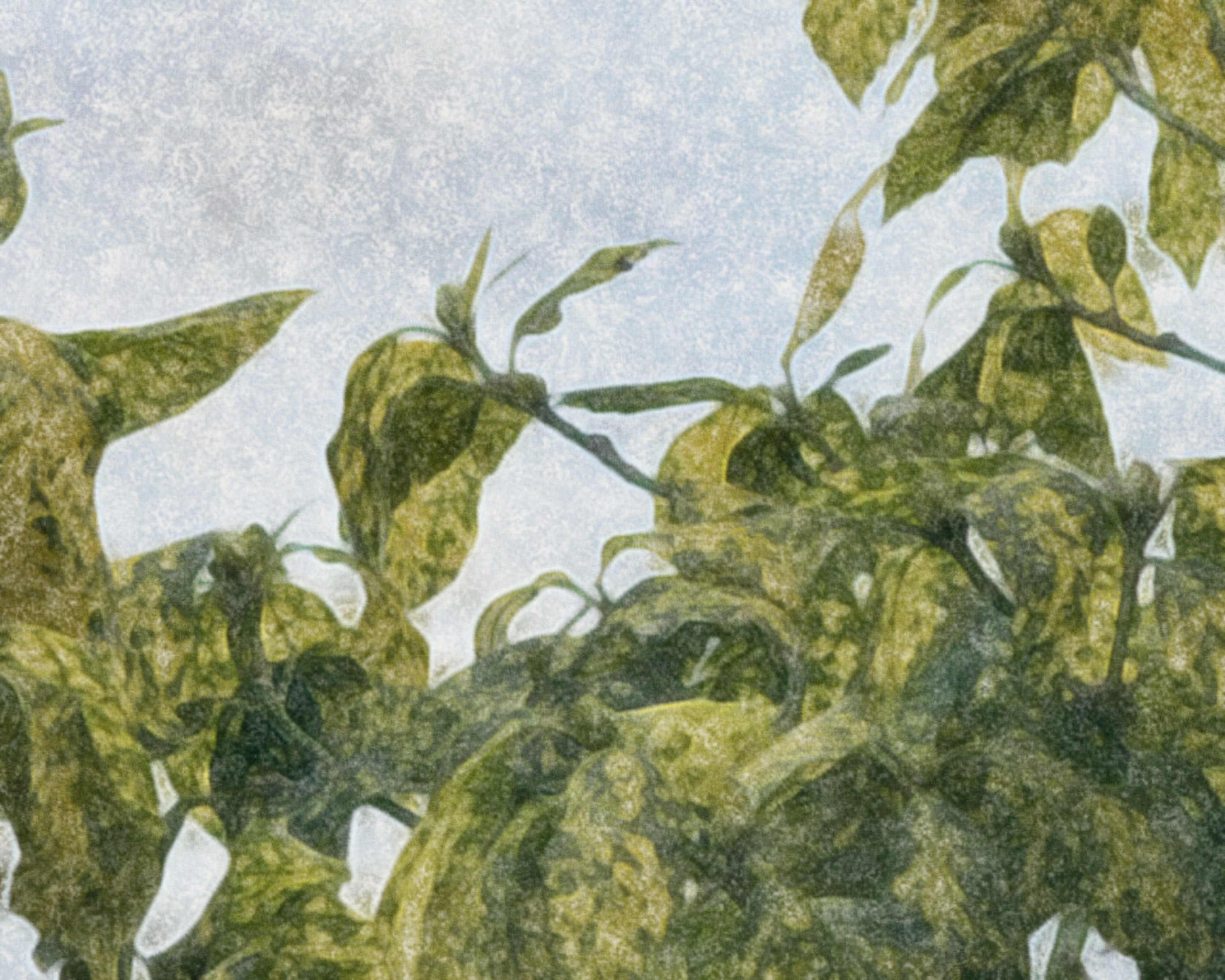 grace as a revolutionary practice