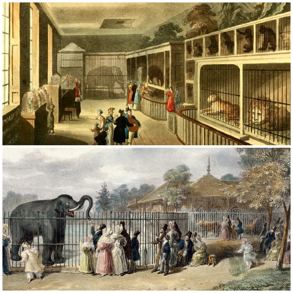 The Evolution of Zoos - by JScott MItchell