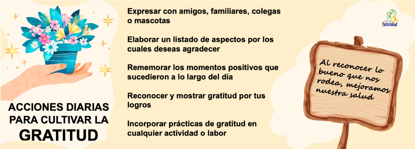 El poder de la gratitud en la vida diaria.