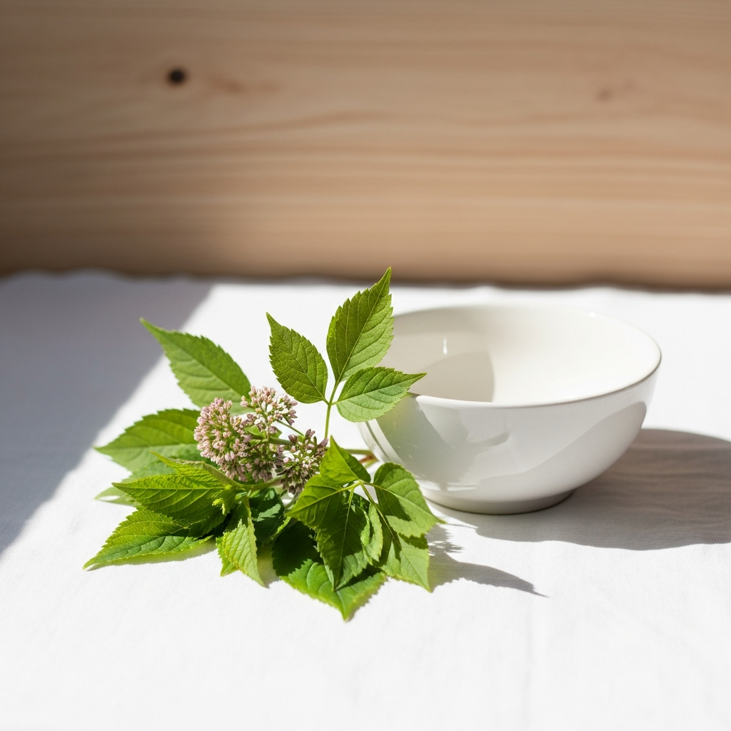 Bright photograph of a sunlit white linen surface with a small cluster of fresh botanical leaves and a white ceramic bowl, light wood background, bright natural daylight, no faces, no text