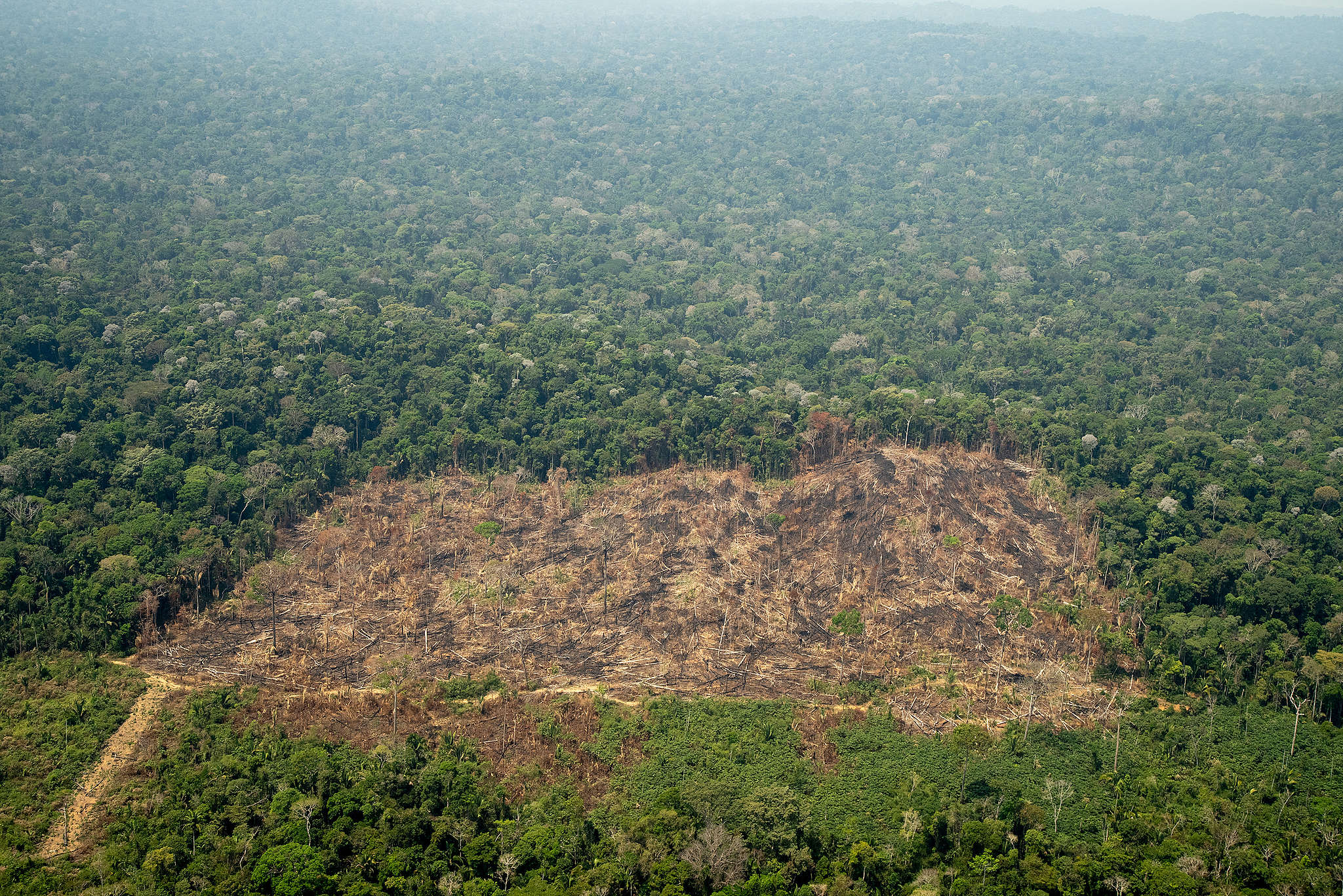 Violência contra povos indígenas em Rondônia: ameaças, terra e o preço da resistência