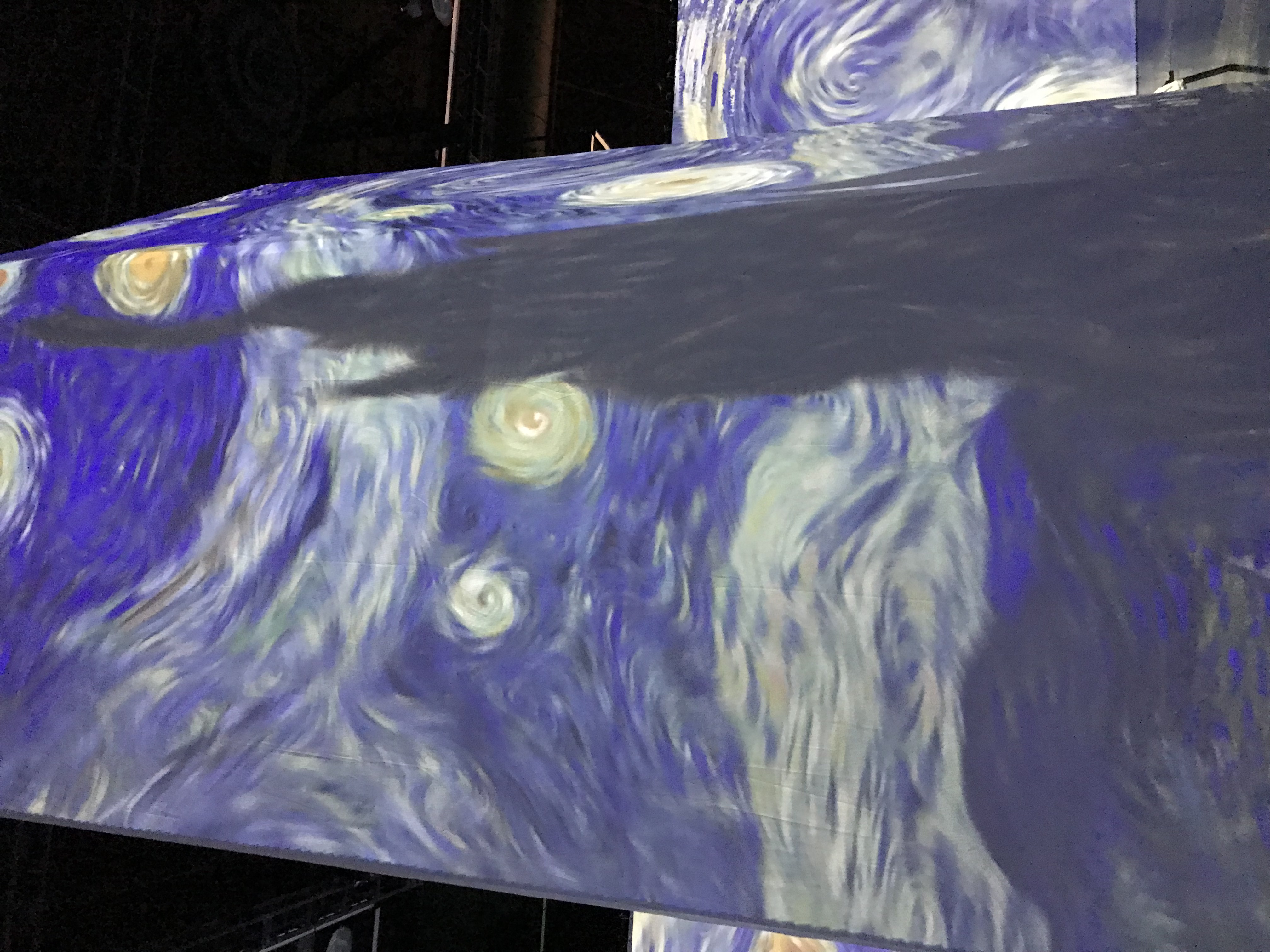 Immersive projection of The Starry Night on tall panels in an exhibition
