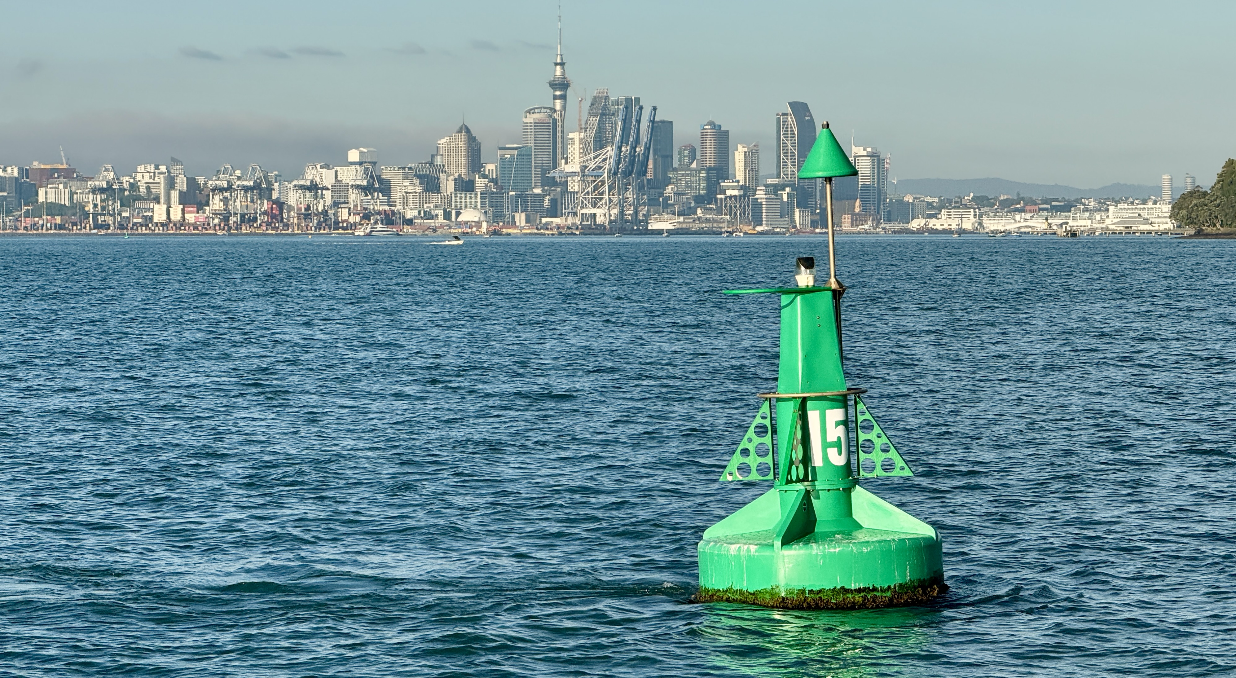 Land Ho: New Zealand