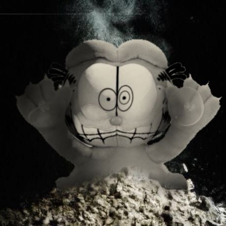 Substack profile picture for @garfield