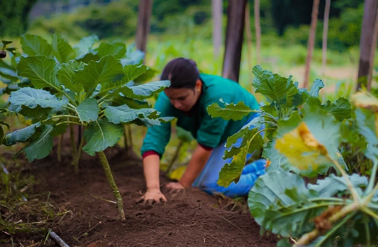 Deputado Alan Queiroz destina R$ 300 mil para aquisição de trator, em Nova União