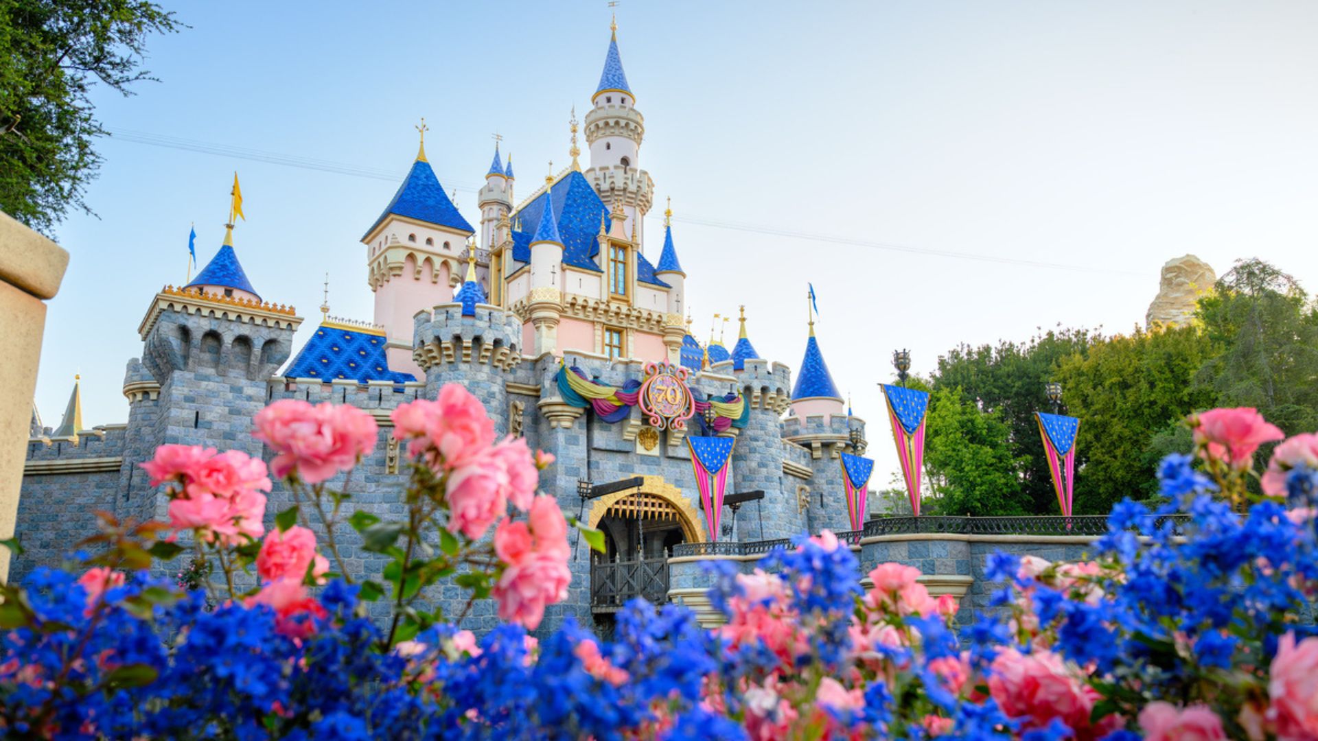 Q2 Theme Park Earnings & What They Tell Us About the Consumer