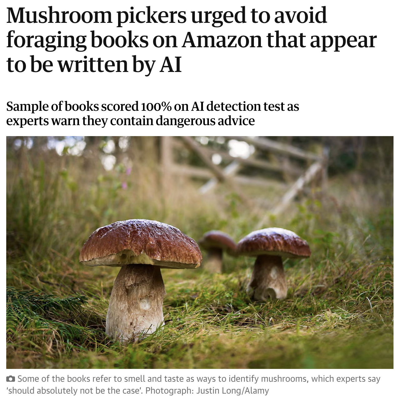 AI slop - by Charlie Hills and Dr Sam Illingworth