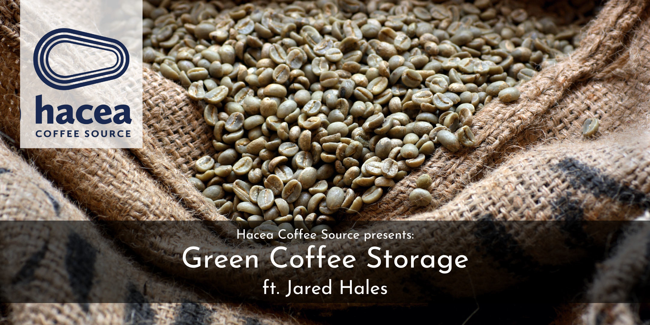 Hacea's Green Coffee Column: August