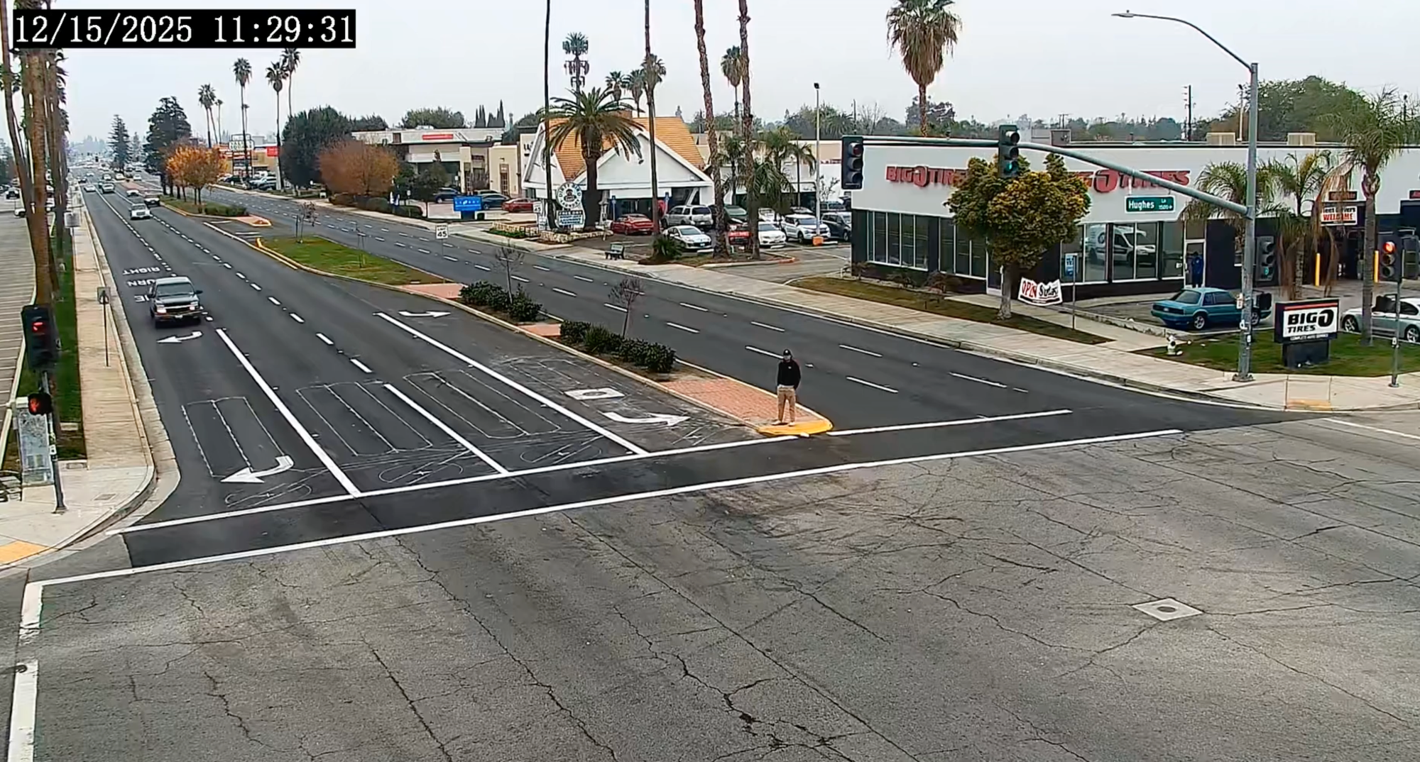 This Flock Camera Leak is like Netflix For Stalkers