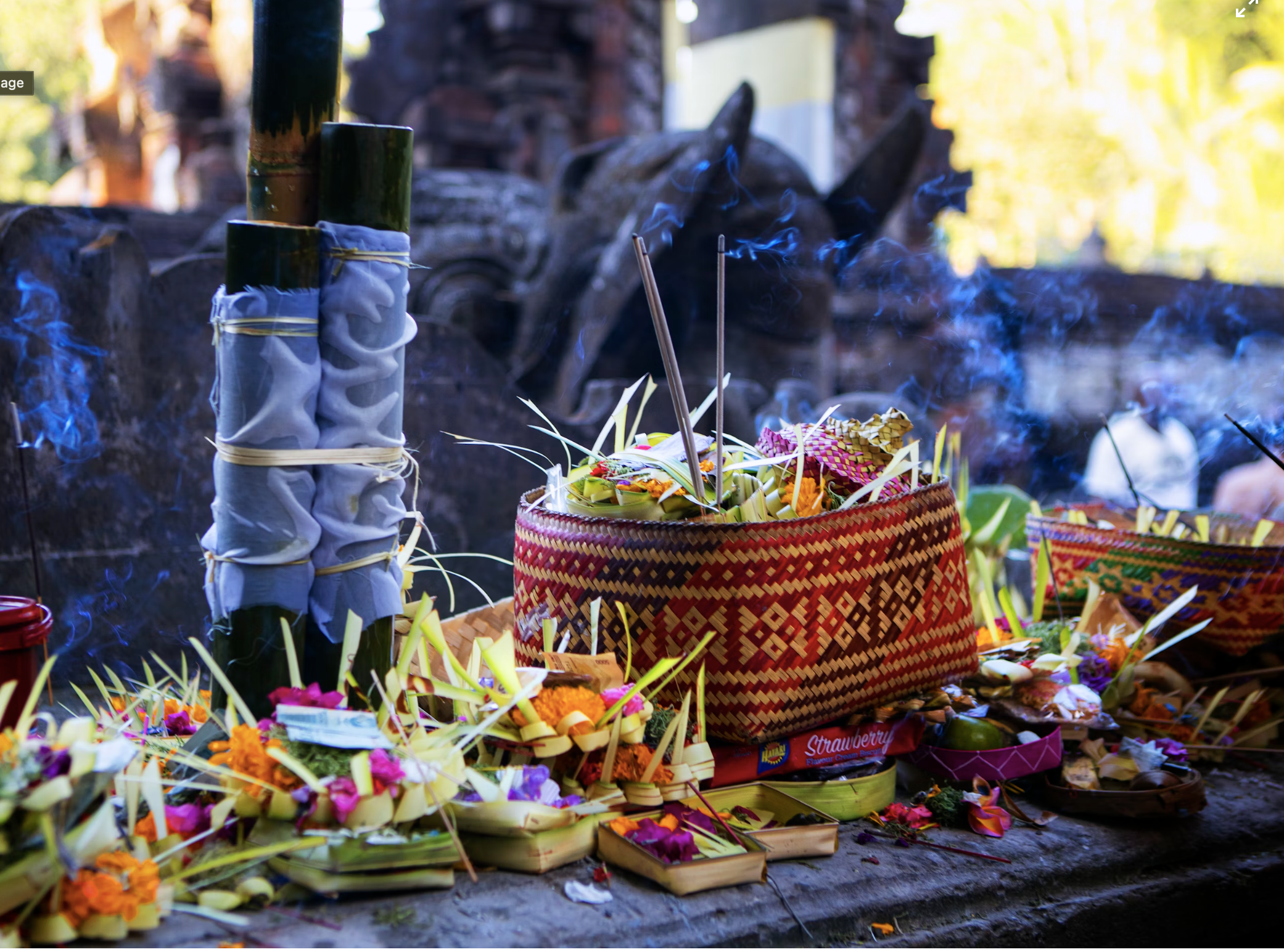 The Ultimate Guide to Wellness in Bali