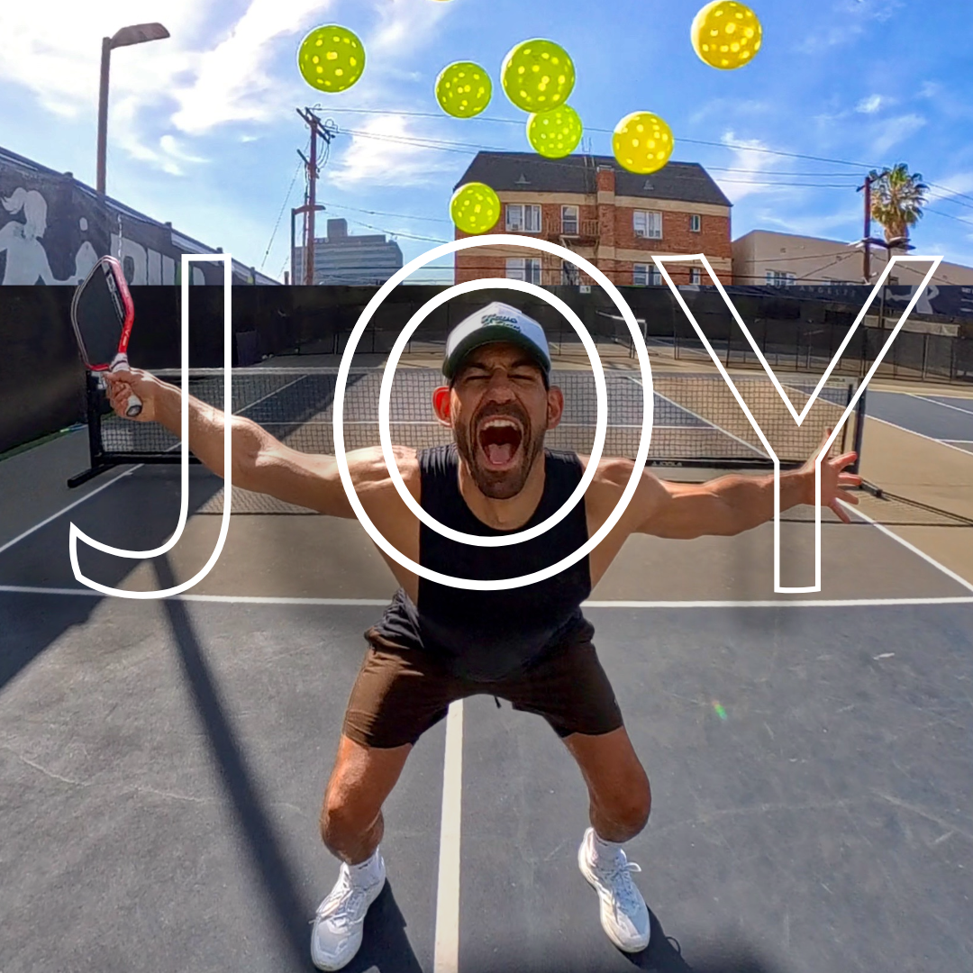 Cover of Why Joy Wins