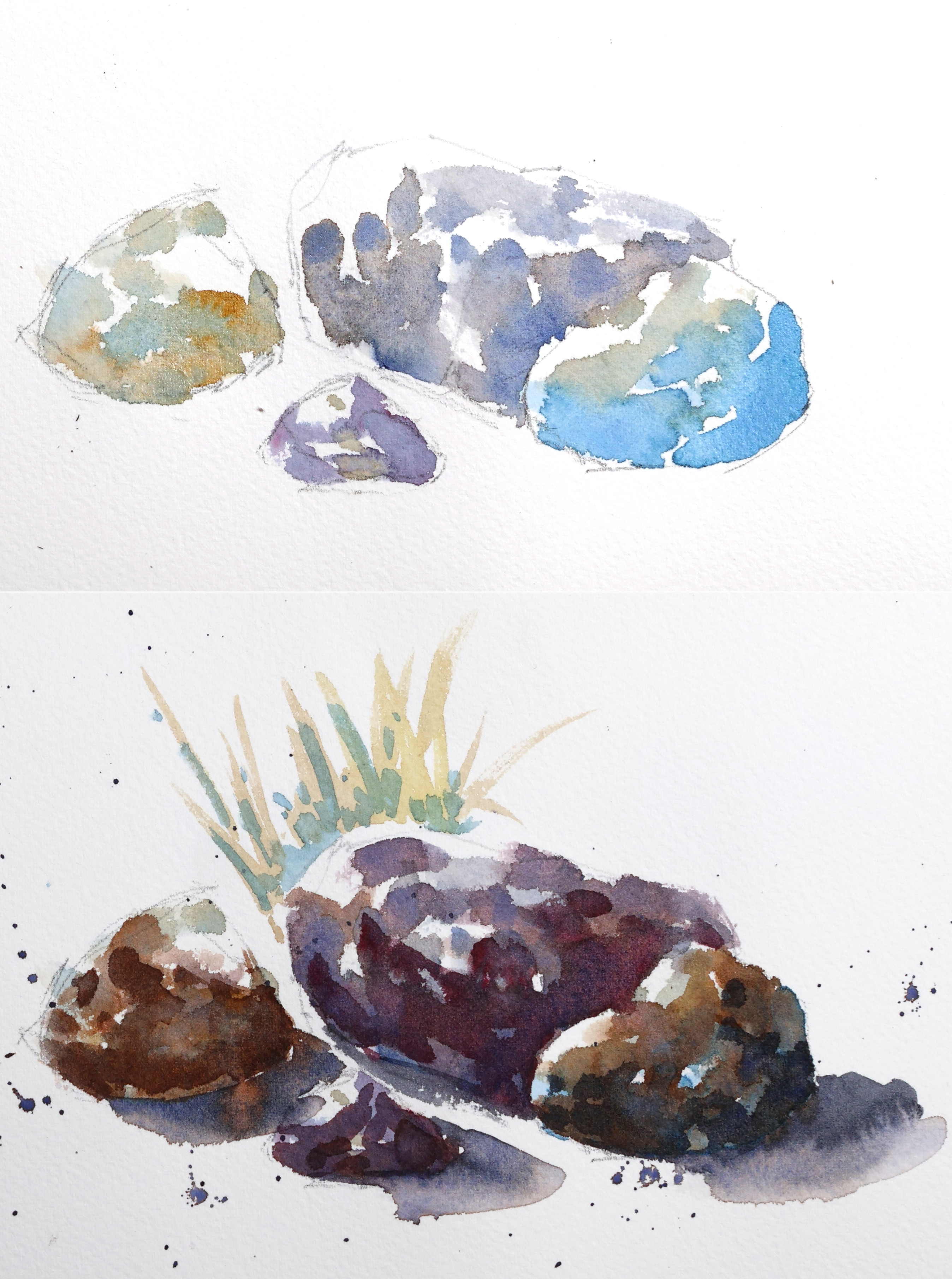 Rocks and Driftwood