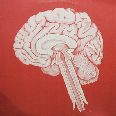 400 Divided Equals Shing02 SHING02 / 400 INSTRUMENTALS - TICRO MARKET