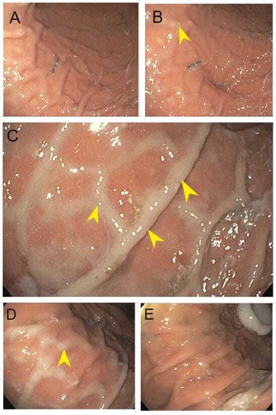 The Miracle Sign 1 The Miracle Sign