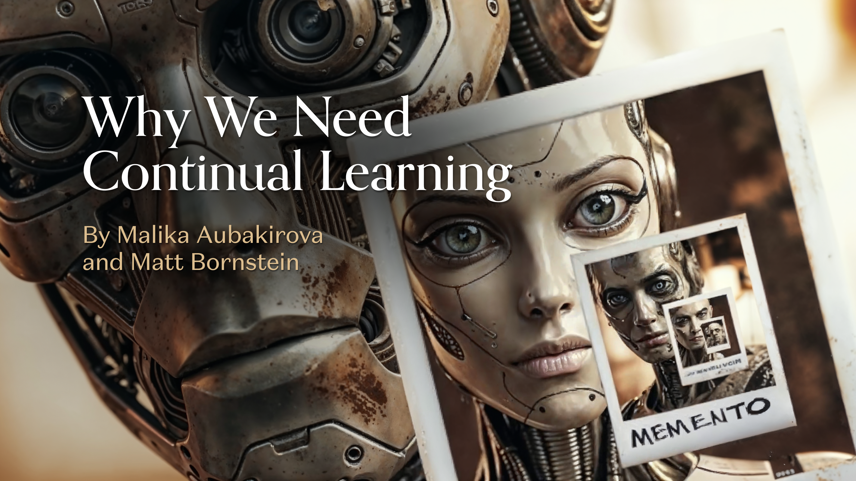 Why We Need Continual Learning