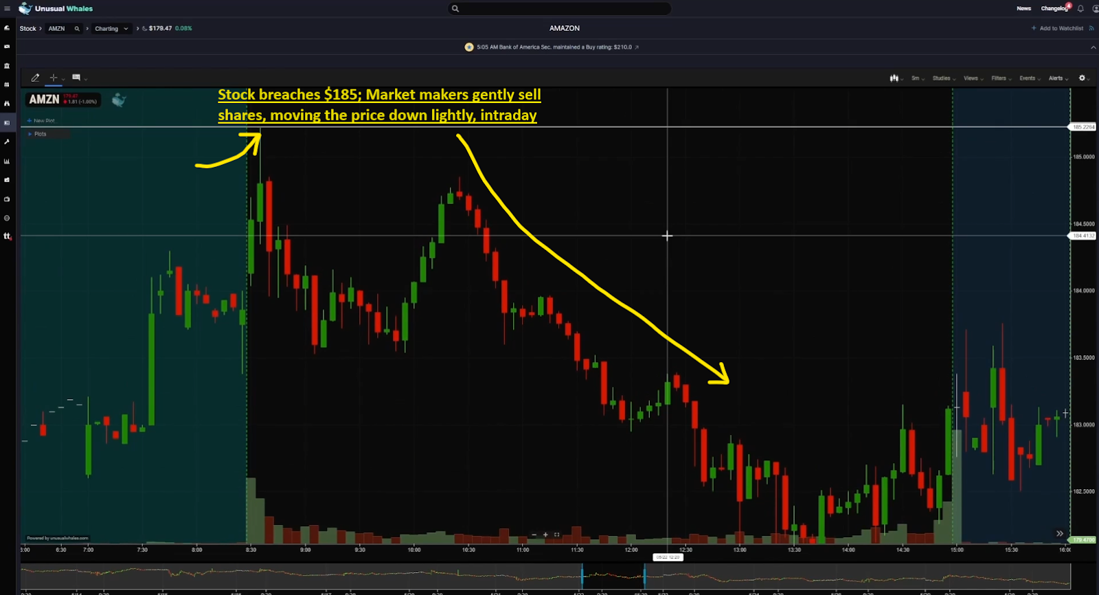 How to understand Gamma, Delta, GEX, DEX and more using Unusual Whales