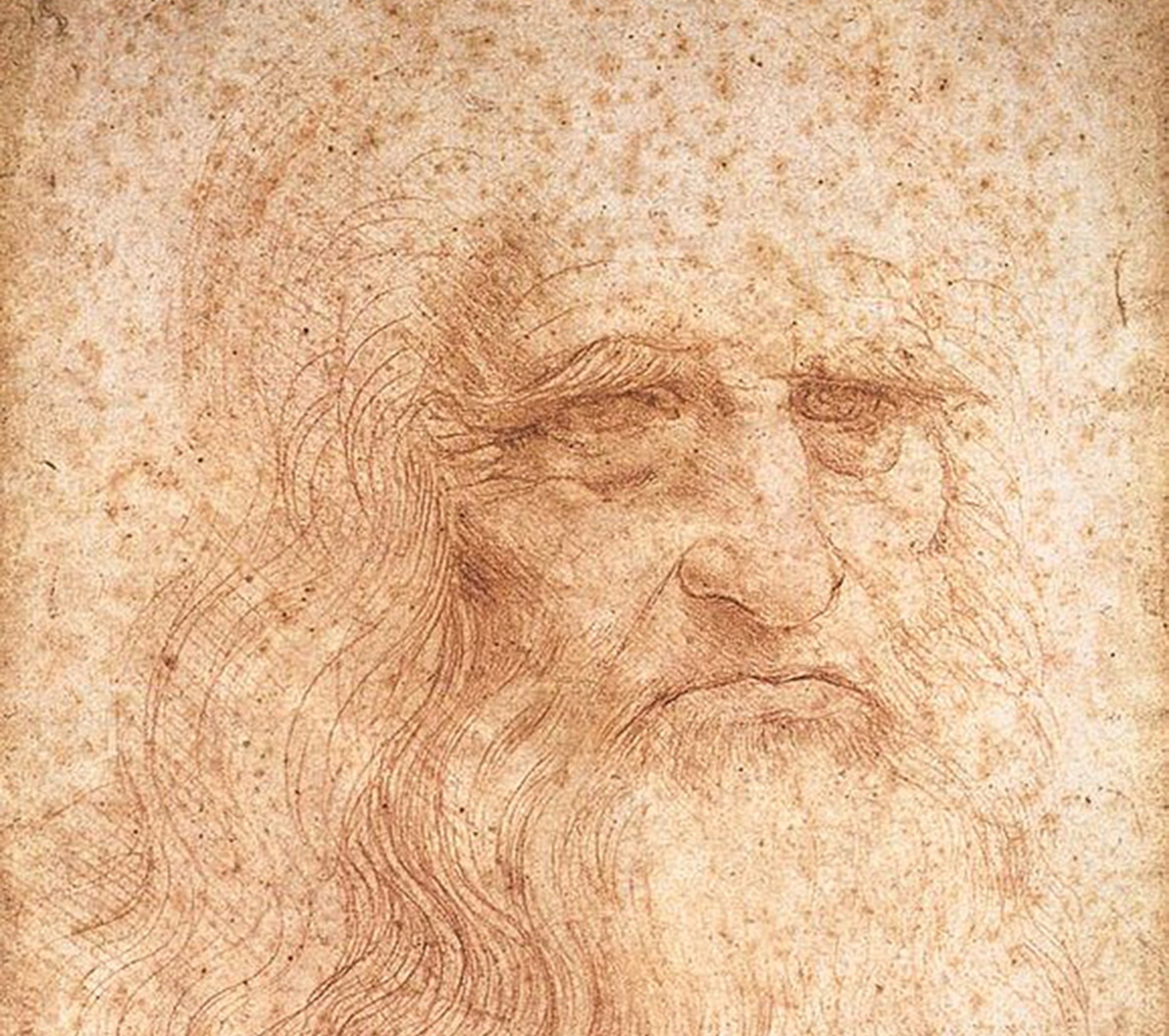 Red chalk drawing of an elderly bearded man traditionally identified as Leonardo da Vinci