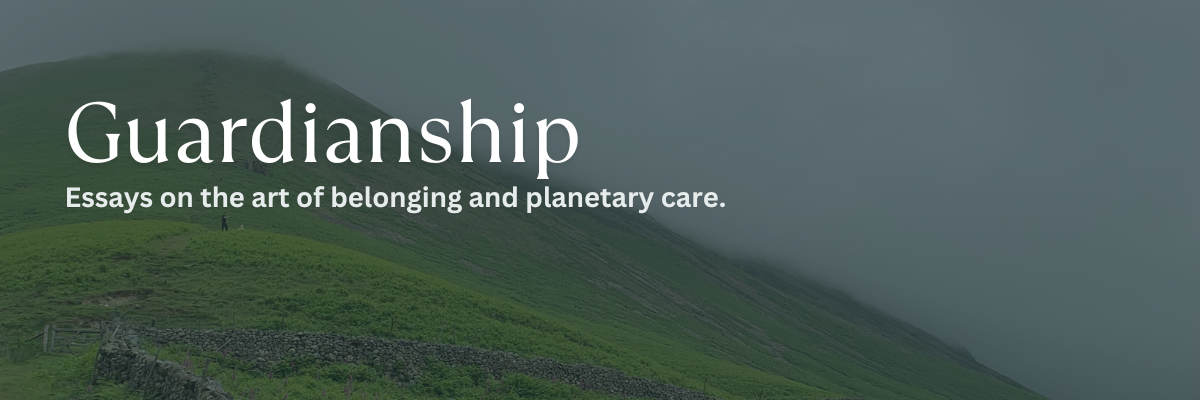 Substack banner for @guardianship