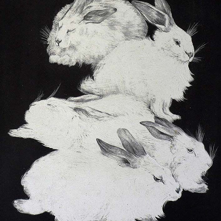 Reveries In The Warren